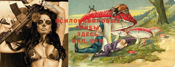 прущие крисы Аркадак