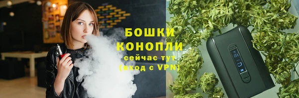 прущие крисы Аркадак
